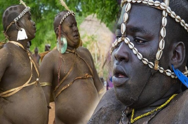 Böyle yaşam görülmedi! 6 ay kan içiyorlar diğer 6 ay ise...