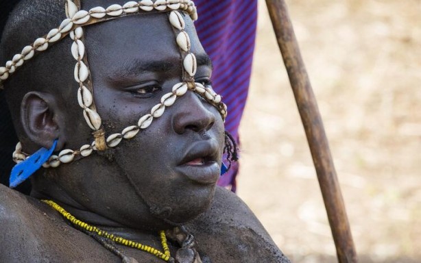 Foto - Böyle yaşam görülmedi! 6 ay kan içiyorlar diğer 6 ay ise...