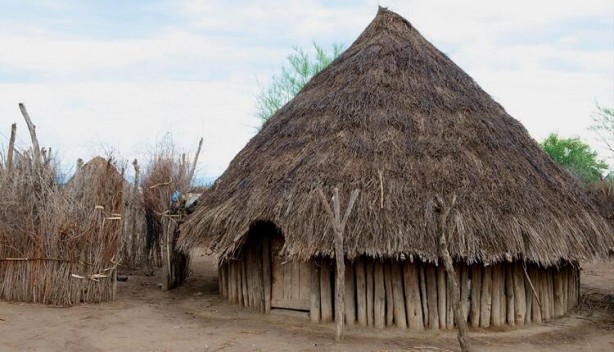 Foto - Böyle yaşam görülmedi! 6 ay kan içiyorlar diğer 6 ay ise...