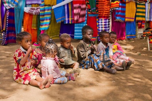 Foto - Böyle yaşam görülmedi! 6 ay kan içiyorlar diğer 6 ay ise...