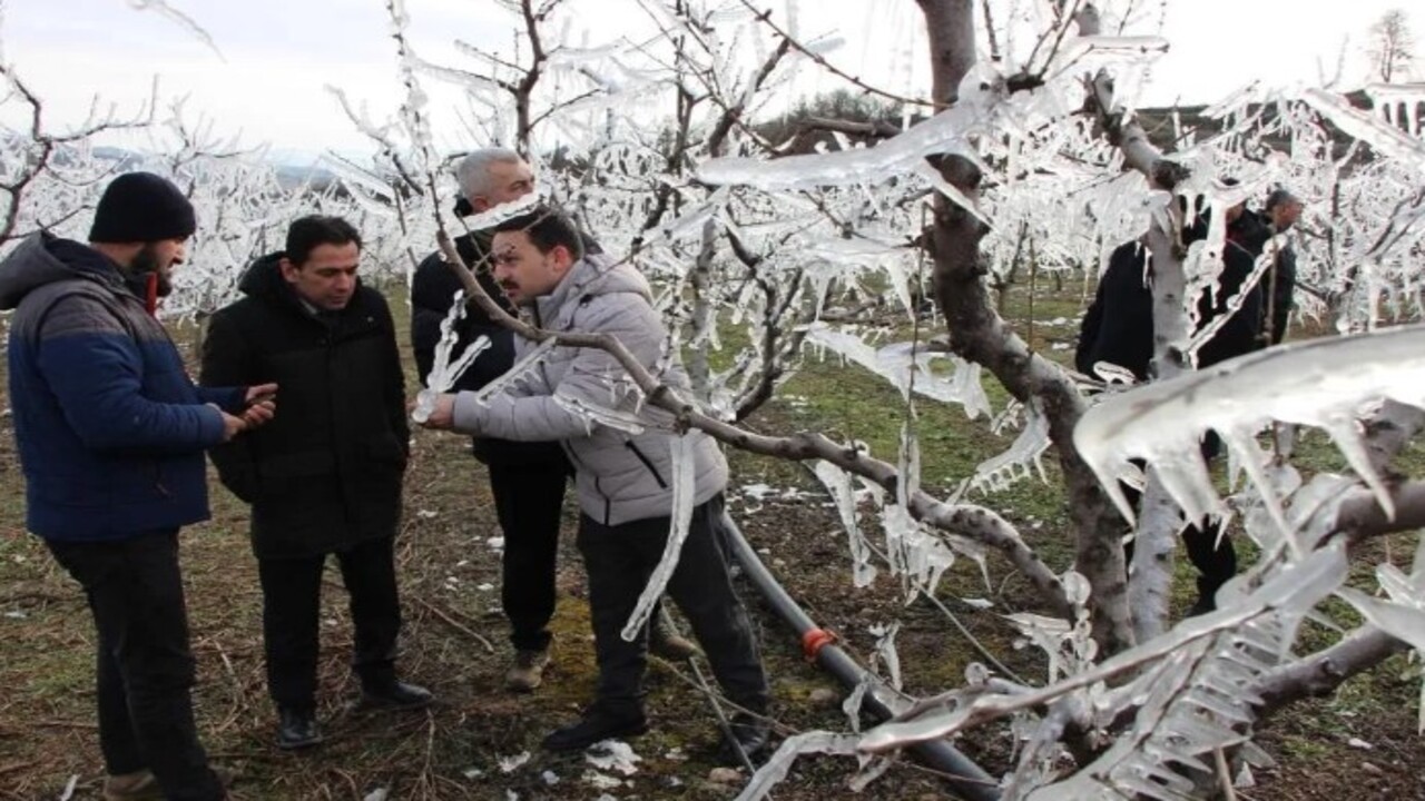 Foto - Böyle yöntem görülmedi! Ağaçları aşırı soğuktan korumak için bakın ne yaptı