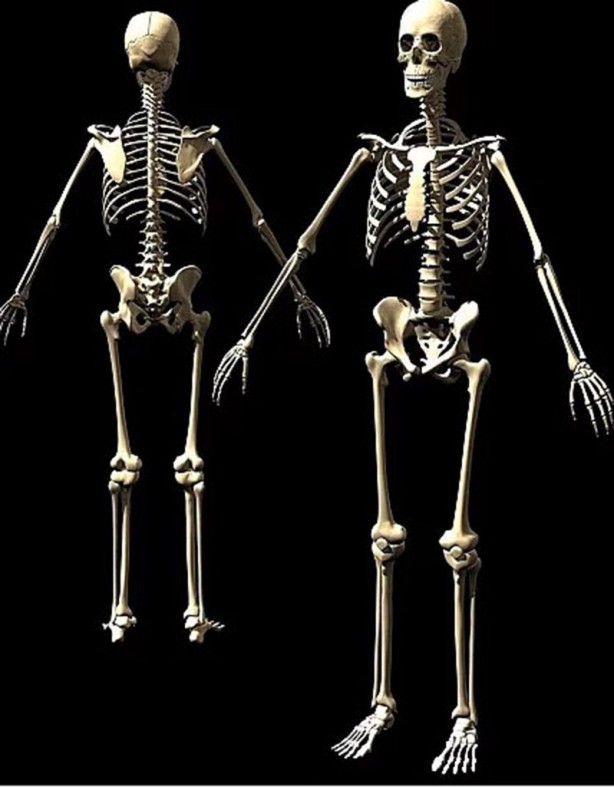 Foto - Böylesi duyulmadı! İşte insan vücudunun ilginç özellikleri...