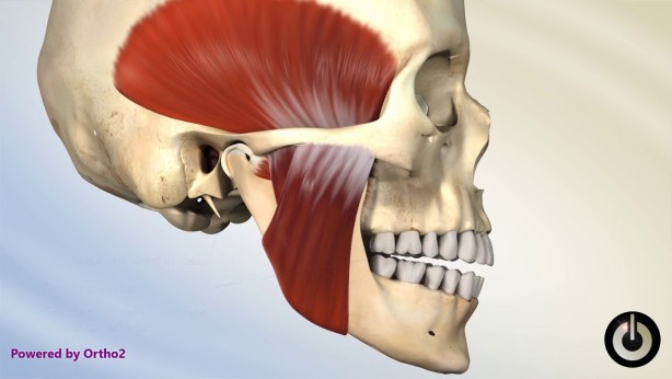 Foto - Böylesi duyulmadı! İşte insan vücudunun ilginç özellikleri...