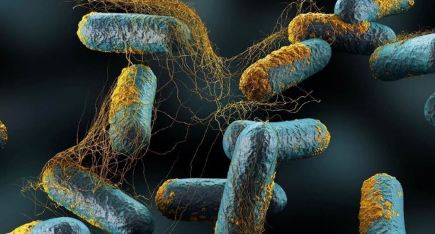 Foto - Böylesi duyulmadı! İşte insan vücudunun ilginç özellikleri...