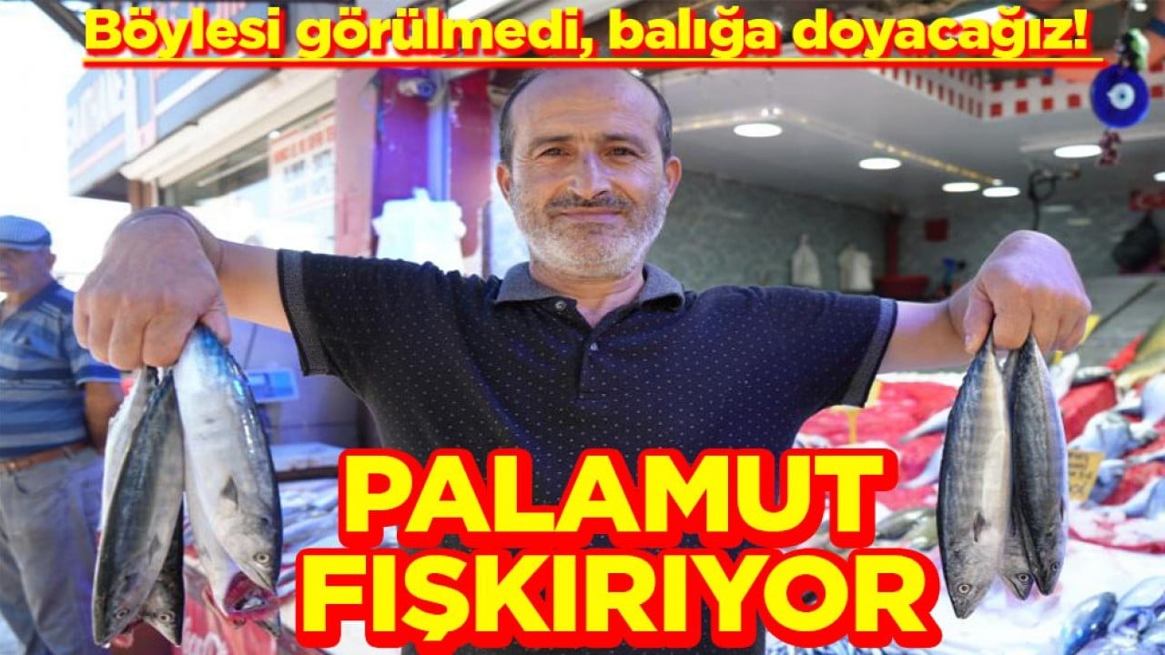 Böylesi görülmedi, balığa doyacağız! Palamut fışkırıyor