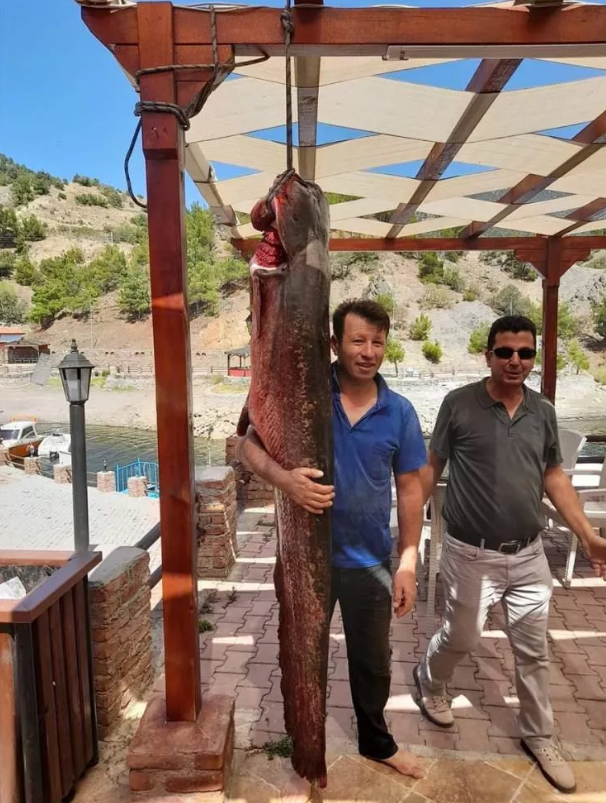 Böylesi görülmedi! Tam 50 kilo…