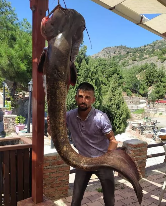 Foto - Böylesi görülmedi! Tam 50 kilo…