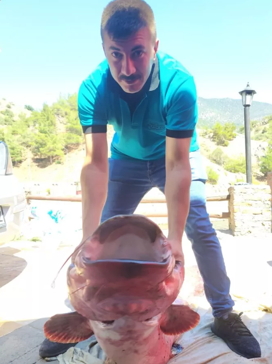 Foto - Böylesi görülmedi! Tam 50 kilo…