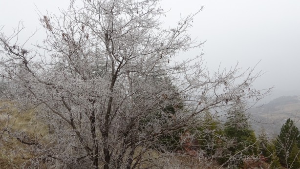 Foto - Böylesi her zaman yaşanmıyor! 2 ilçe adeta kayboldu
