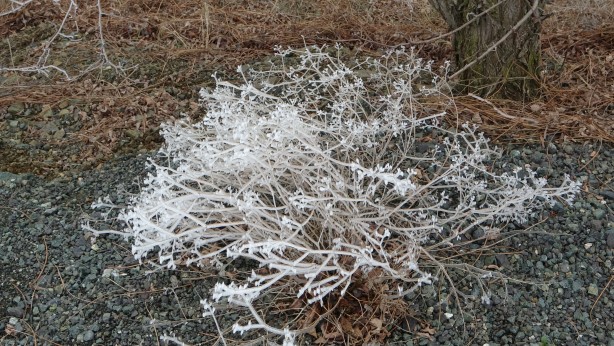 Foto - Böylesi her zaman yaşanmıyor! 2 ilçe adeta kayboldu