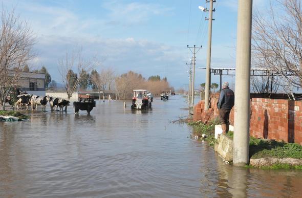 Foto - Böylesi ilk kez oluyor! Yetkililerin eli kolu bağlandı