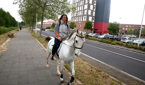 Foto - Böylesine az rastlanır | Patrona kızan kadın öyle bir şey yaptı ki…