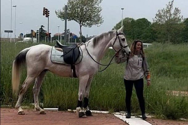 Foto - Böylesine az rastlanır | Patrona kızan kadın öyle bir şey yaptı ki…