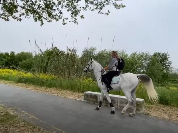 Foto - Böylesine az rastlanır | Patrona kızan kadın öyle bir şey yaptı ki…