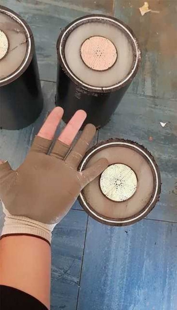 Foto - Böylesini daha önce görmediniz? Dünya devlerini görenler şok oluyor!