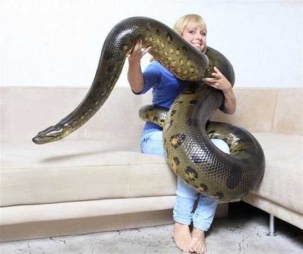 Foto - Böylesini daha önce görmediniz? Dünya devlerini görenler şok oluyor!