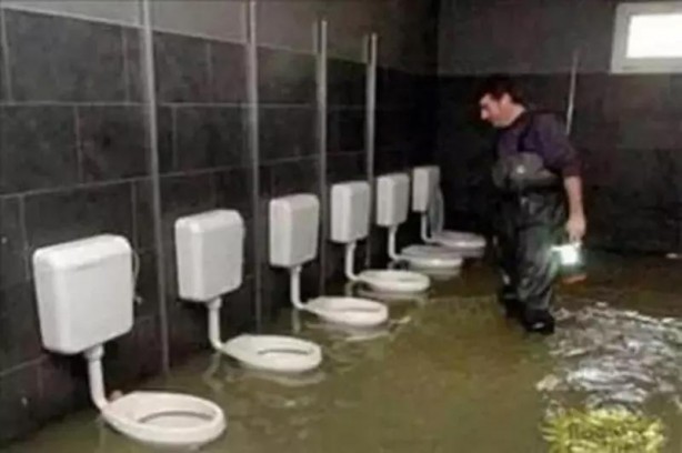 Foto - Böylesini ne duydunuz ne gördünüz Sandalye üretmiyor yetiştiriyor! Akıl dışı meslekler