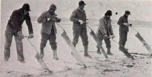 Foto - Böylesini ne duydunuz ne gördünüz Sandalye üretmiyor yetiştiriyor! Akıl dışı meslekler