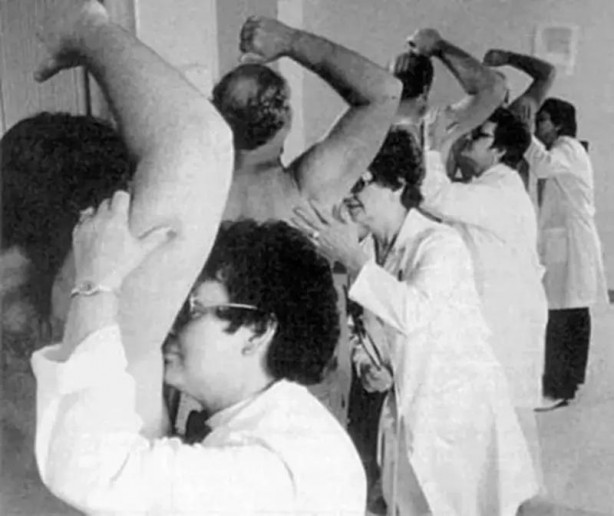 Foto - Böylesini ne duydunuz ne gördünüz Sandalye üretmiyor yetiştiriyor! Akıl dışı meslekler