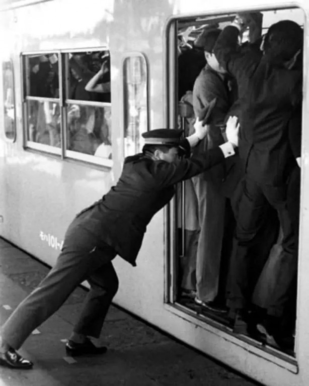 Foto - Böylesini ne duydunuz ne gördünüz Sandalye üretmiyor yetiştiriyor! Akıl dışı meslekler