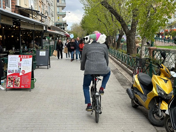 Foto - Boynunda kedisi ile Türkiye'yi dolaşıyor