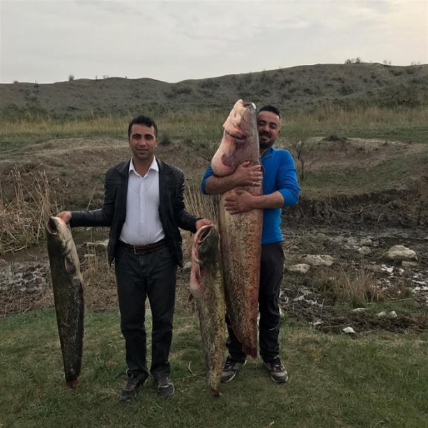 Foto - Boyundan büyük balık avladı!