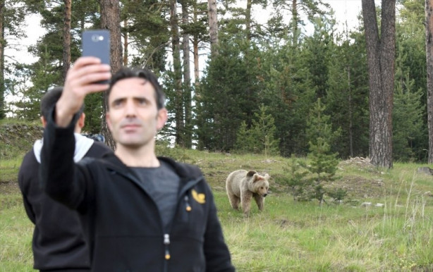 Foto - Bozayılar Sarıkamış'ın merkezine indi