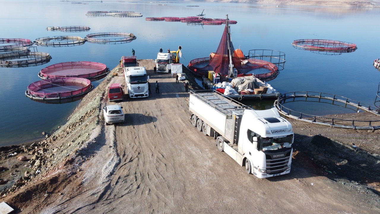 Bozkırdan dünyaya! Denizi olmayan şehirden balık ihracatı