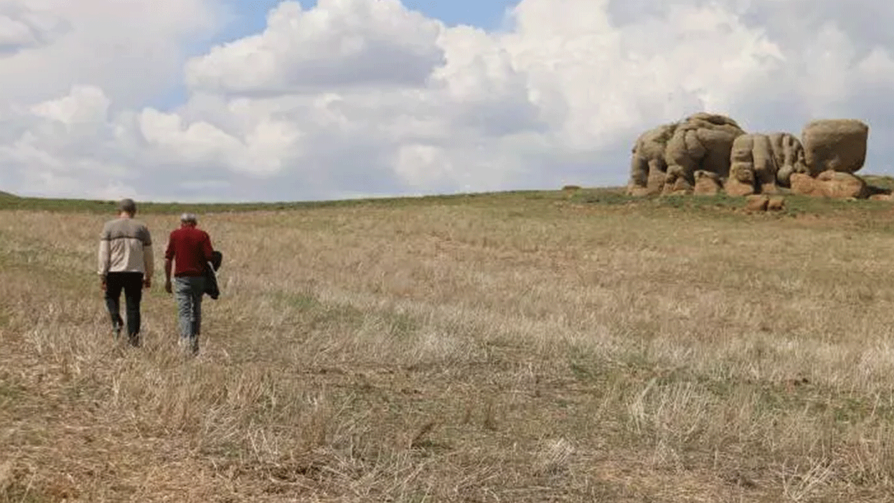 Foto - Bozkırın ortasında 5 metrelik filler! Görenler şaşırıp kalıyor!