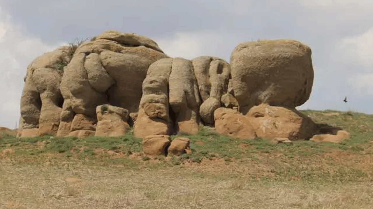 Foto - Bozkırın ortasında 5 metrelik filler! Görenler şaşırıp kalıyor!