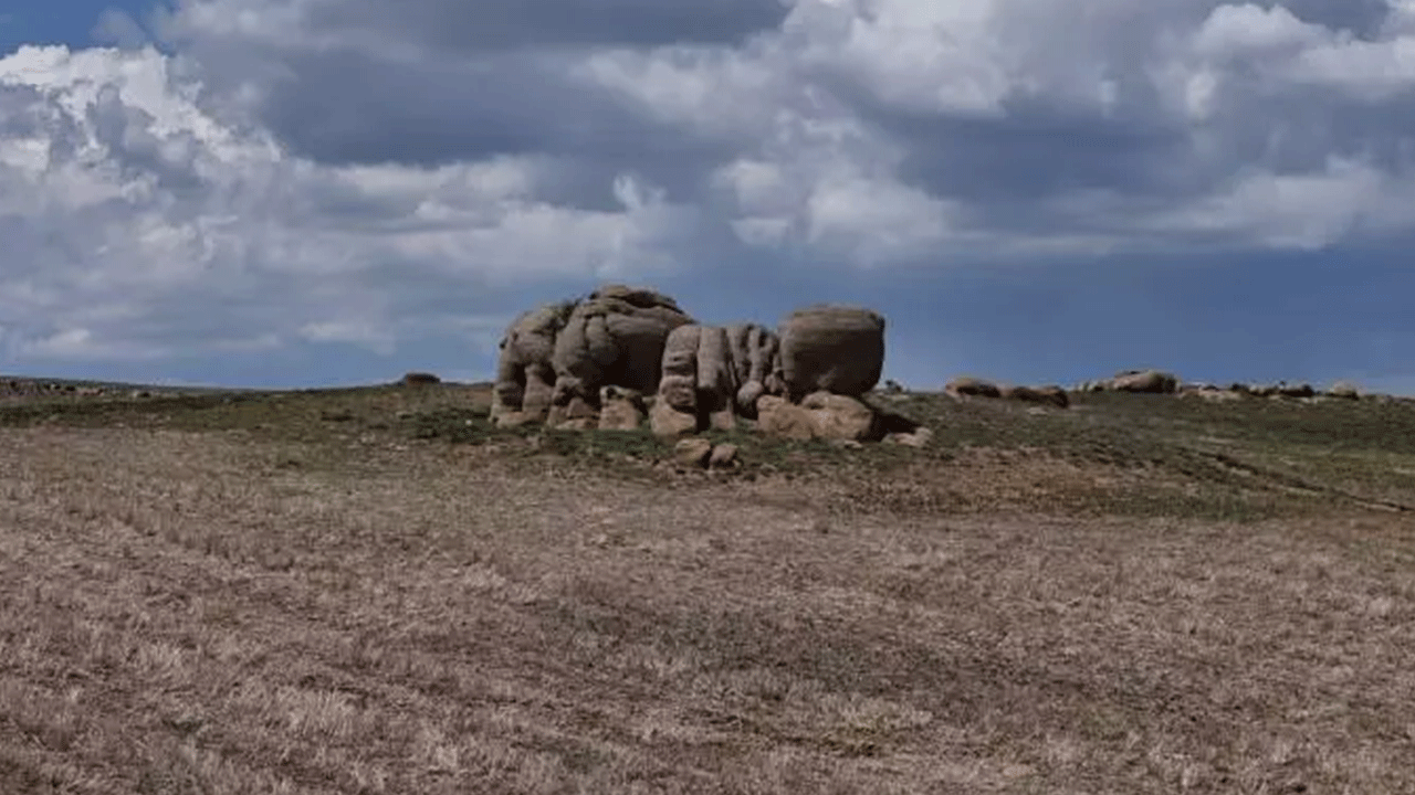 Foto - Bozkırın ortasında 5 metrelik filler! Görenler şaşırıp kalıyor!