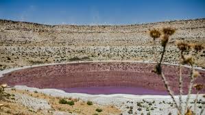 Foto - Bozkırın ortasında bir pembe göl... Nedenine şaşıracaksınız