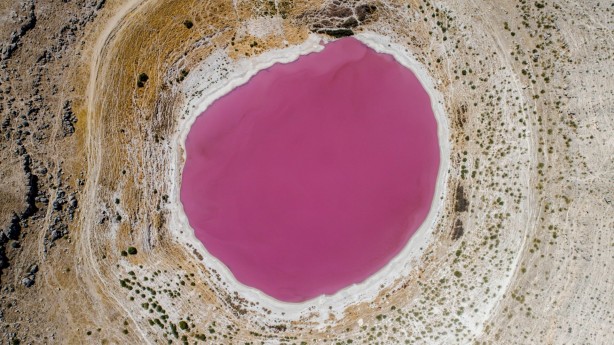 Foto - Bozkırın ortasında bir pembe göl... Nedenine şaşıracaksınız