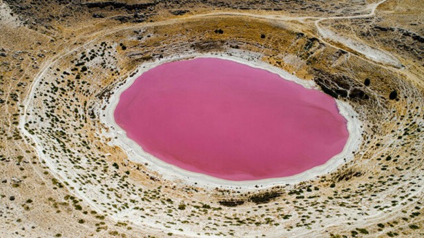 Foto - Bozkırın ortasında bir pembe göl... Nedenine şaşıracaksınız