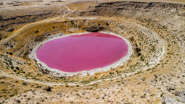 Foto - Bozkırın ortasında bir pembe göl... Nedenine şaşıracaksınız