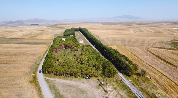 Foto - Bozkırın ortasındaki vaha: Benliahmet Tren İstasyonu