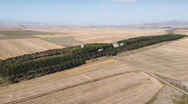 Foto - Bozkırın ortasındaki vaha: Benliahmet Tren İstasyonu