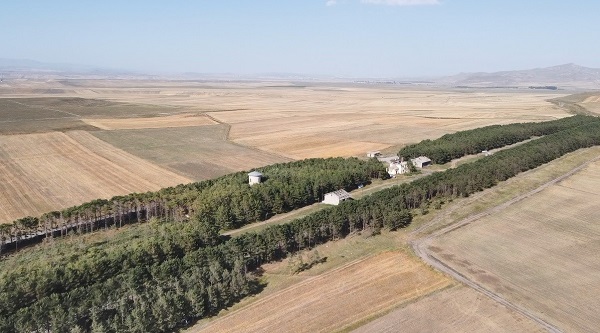 Foto - Bozkırın ortasındaki vaha: Benliahmet Tren İstasyonu