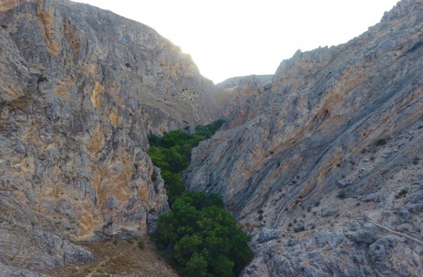 Foto - Bozkırın "yeşil cenneti" ziyaretçilerini bekliyor