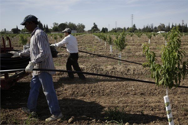 Foto - Bu 10 meslek tarih olacak