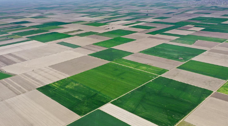 Foto - Bu 11 ilde yaşayanlar dikkat! Bazı arsa ve arazilerin acele olarak kamulaştırılmasına karar verildi