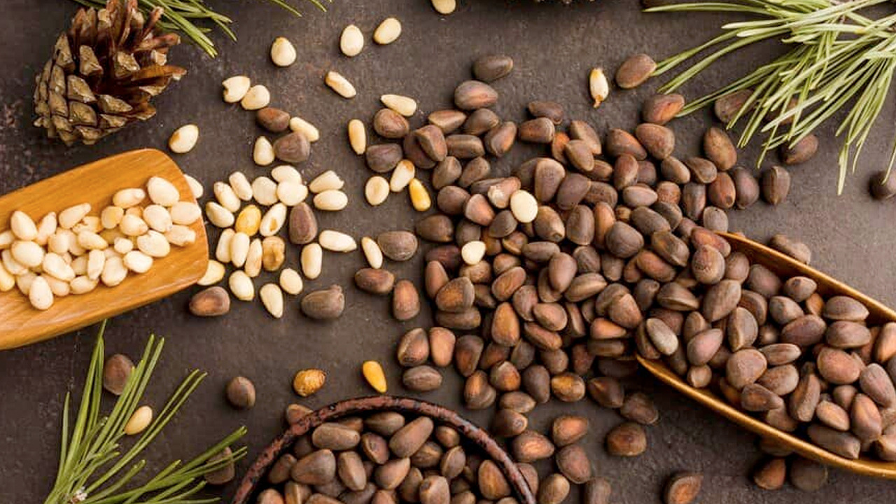 Foto - Bu 3 besini tüketen 100 yaşını görüyor! İbn-i Sina 1000 yıl önce önerdi!