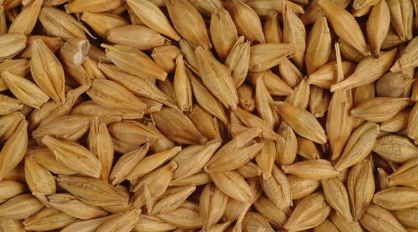 Foto - Bu 30 gıdaya dikkat, herkes tüketmeli