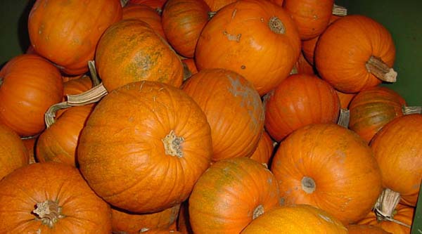 Foto - Bu 30 gıdaya dikkat, herkes tüketmeli