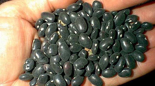 Foto - Bu 30 gıdaya dikkat, herkes tüketmeli