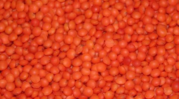 Foto - Bu 30 gıdaya dikkat, herkes tüketmeli