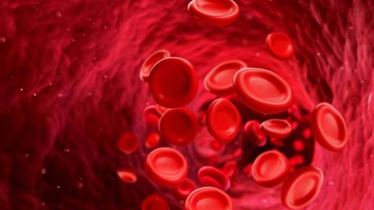 Foto - Bu 5 belirtiye dikkat! İşte bacaklarda kan pıhtısının sebebi