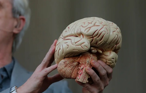 Bu açıklama herkesi şaşırttı! İnsan beyni gittikçe küçülüyor