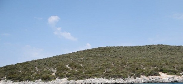 Bu ada Türkiye'de! Ada satılığa çıktı istenen rakam dudak uçuklattı