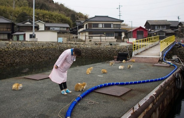 Foto - Bu adada insanlar azınlık konumunda